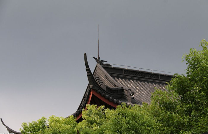 �R�����