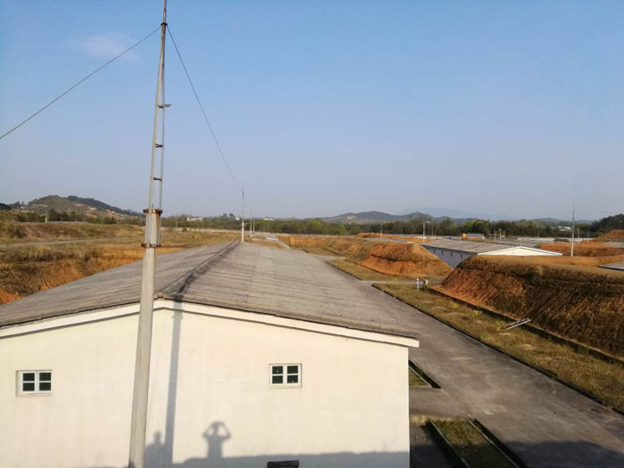 ���ڏS���װ���